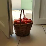Azienda Agrituristica Spicchio Di Sole * برنالدا