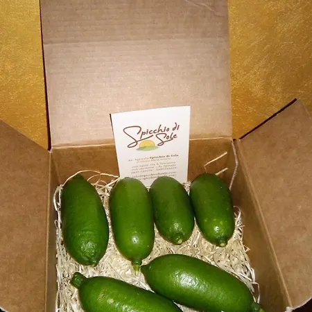 Azienda Agrituristica Spicchio Di Sole * Bernalda