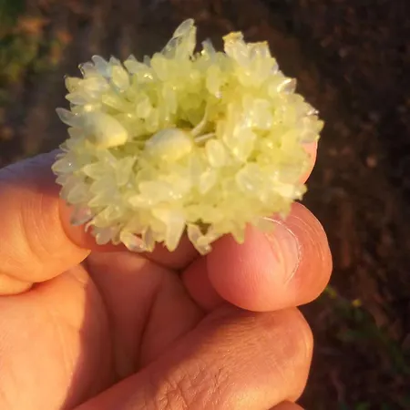 Azienda Agrituristica Spicchio Di Sole 아파트 베르날다