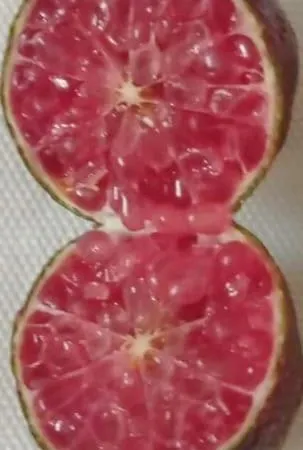 Azienda Agrituristica Spicchio Di Sole *