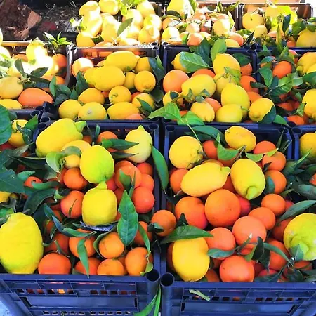 Azienda Agrituristica Spicchio Di Sole Bernalda