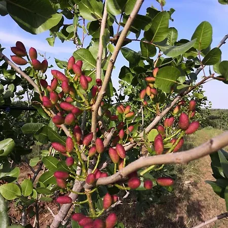Apartmán Azienda Agrituristica Spicchio Di Sole *