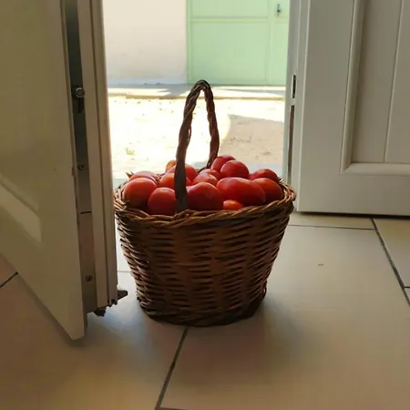 Azienda Agrituristica Spicchio Di Sole * Bernalda