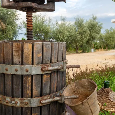 Appartement Azienda Agrituristica Spicchio Di Sole *