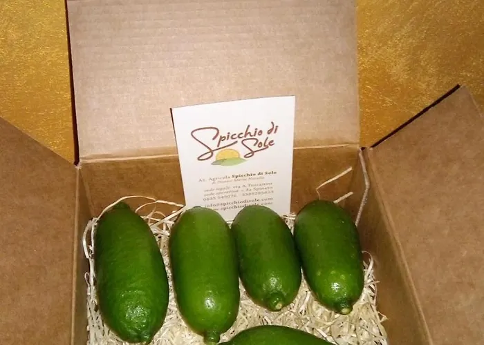 Azienda Agrituristica Spicchio Di Sole * Bernalda