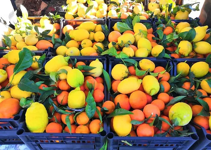 Azienda Agrituristica Spicchio Di Sole Bernalda