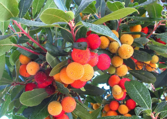 Azienda Agrituristica Spicchio Di Sole Bernalda